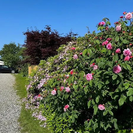 Family-friendly Summer House Near The Holiday home Otterup