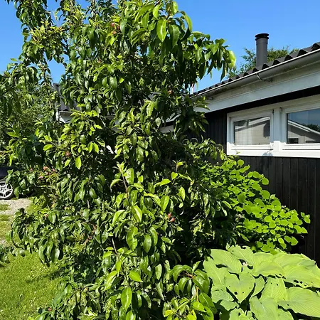 Family-friendly Summer House Near The